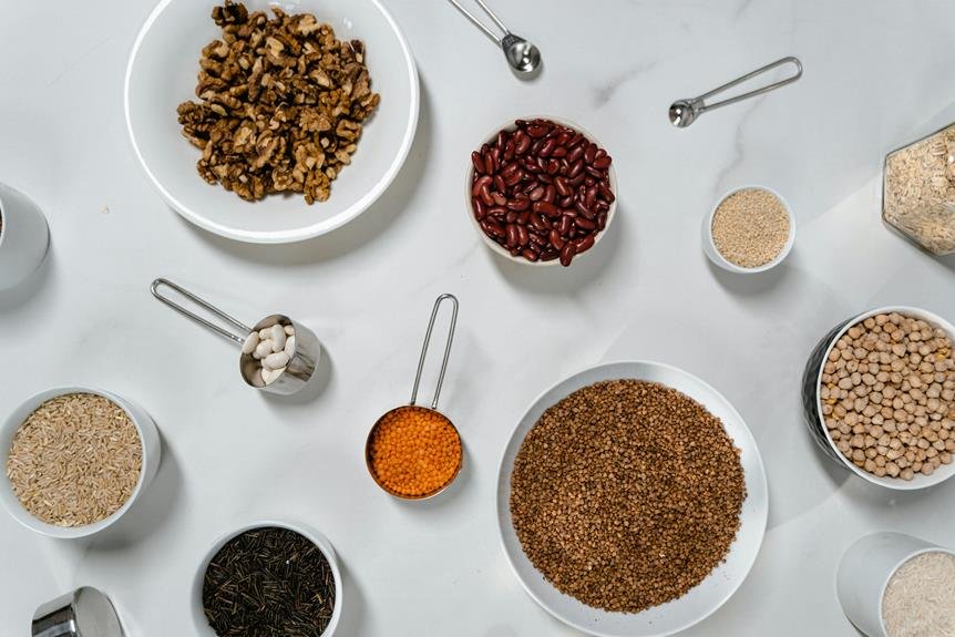 blenders for high fiber meals