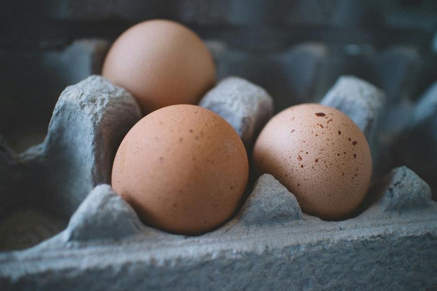 essential kitchen tools for keto
